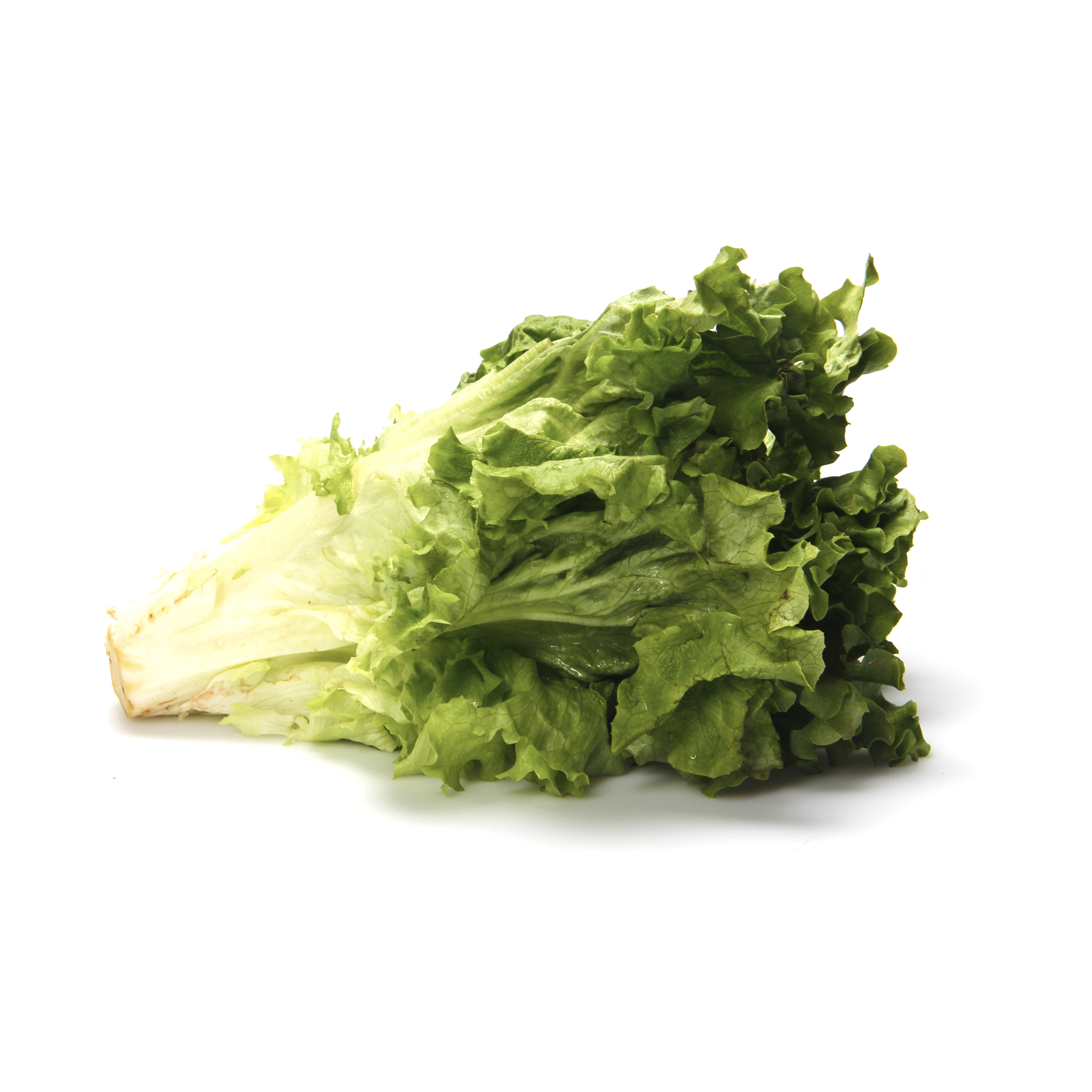 Organic Green Leaf Lettuce 1 Lb Whole Foods Market