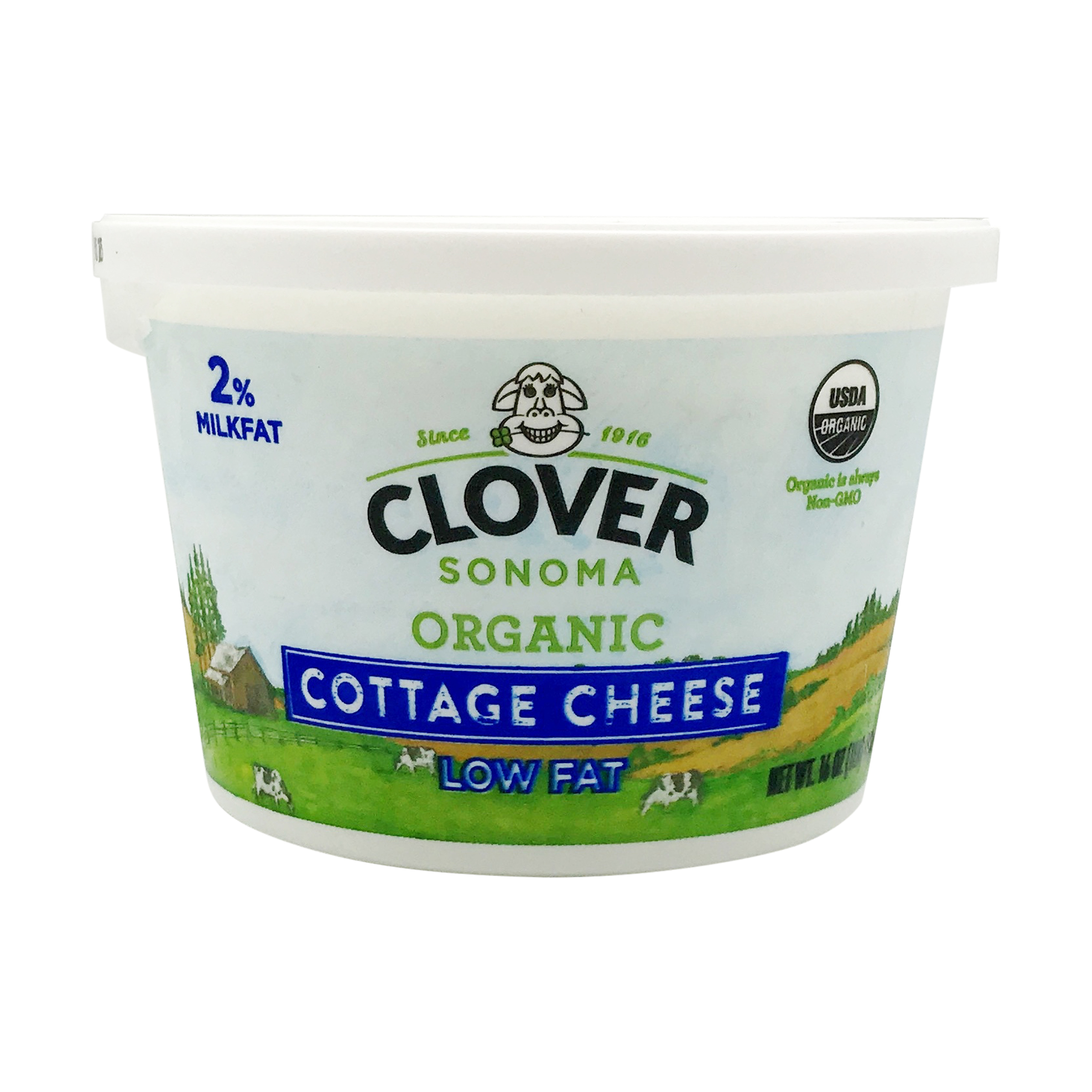Organic Low Fat Cottage Cheese 16 Oz Clover Sonoma Whole Foods